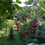 Ginkgo 1 By Interhome דירה באניולה
