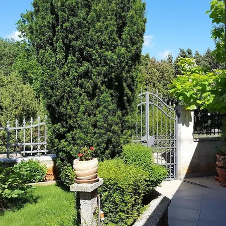 Ginkgo 1 By Interhome Banjole
